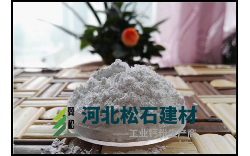 輕質(zhì)碳酸鈣用途詳述及應(yīng)用